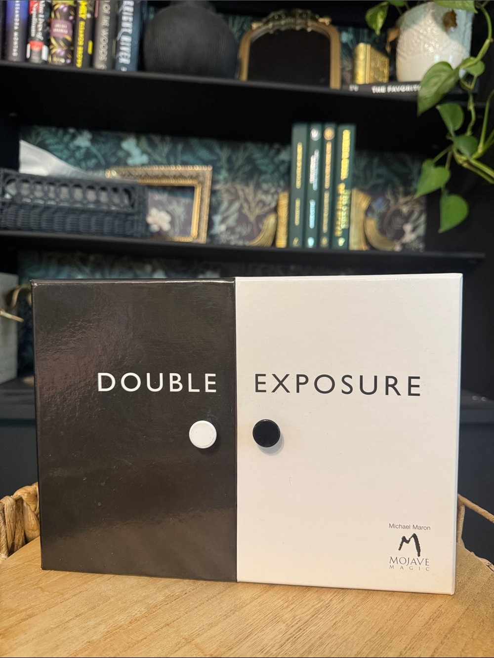 Double Exposure Black & White Eyeshadow Palette